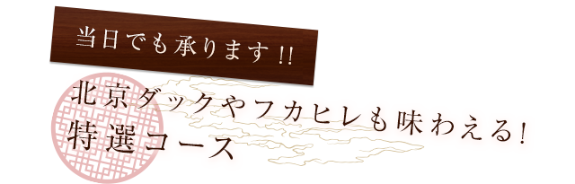 特選コース