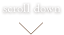scroll down
